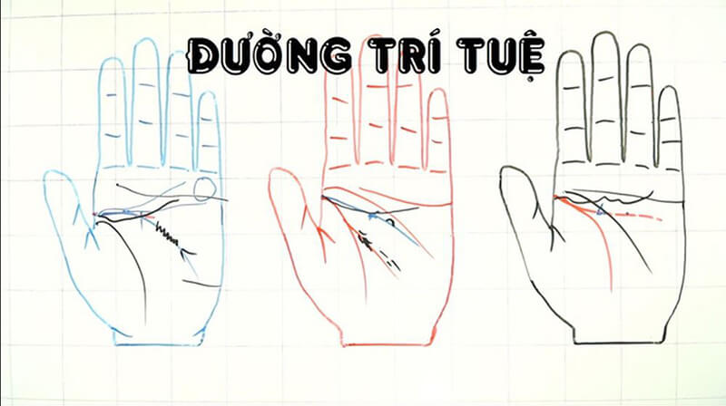 đường tiền tài trên bàn tay