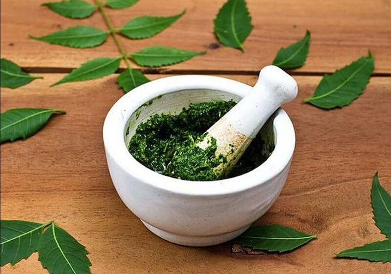 Chia sẻ về ung nhọt và Bài thuốc từ cây cỏ