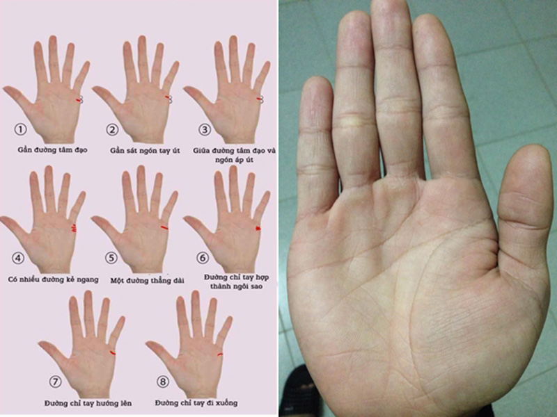 Đường chỉ tay có liên quan đến vận mệnh