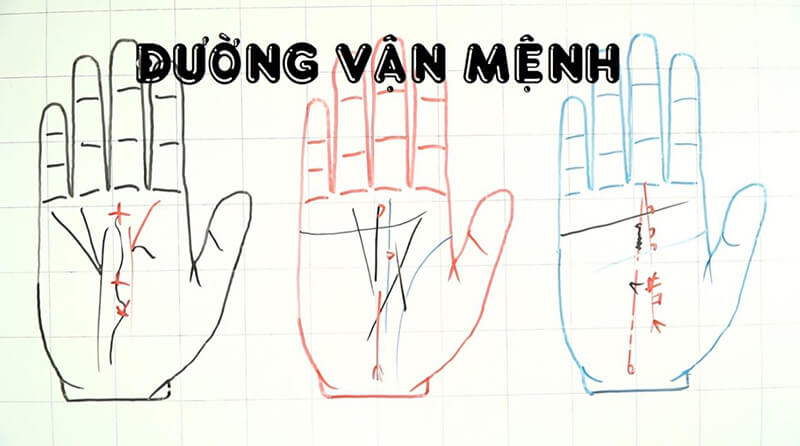 Đường chỉ tay với vận mệnh