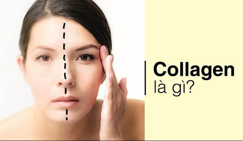 Collagen là gì?