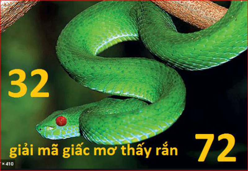 Giải mã giấc mơ thấy rắn