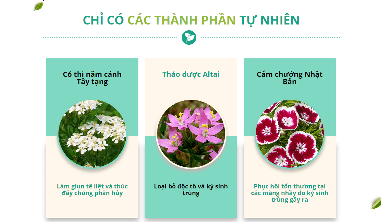 detoxic-co-tot-khong-3