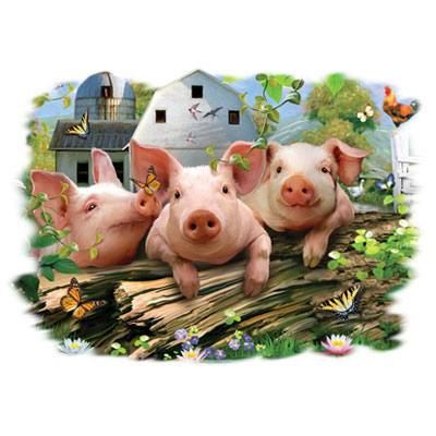 tu-vi-2017-tuoi-tan-hoi-5