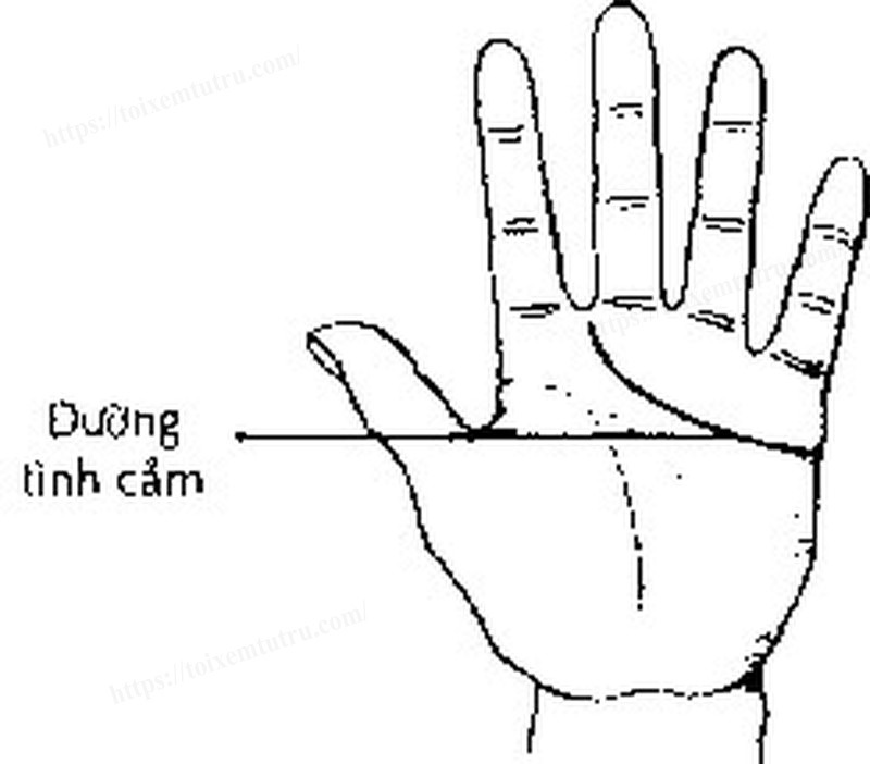 tướng phụ nữ lấy được chồng tốt