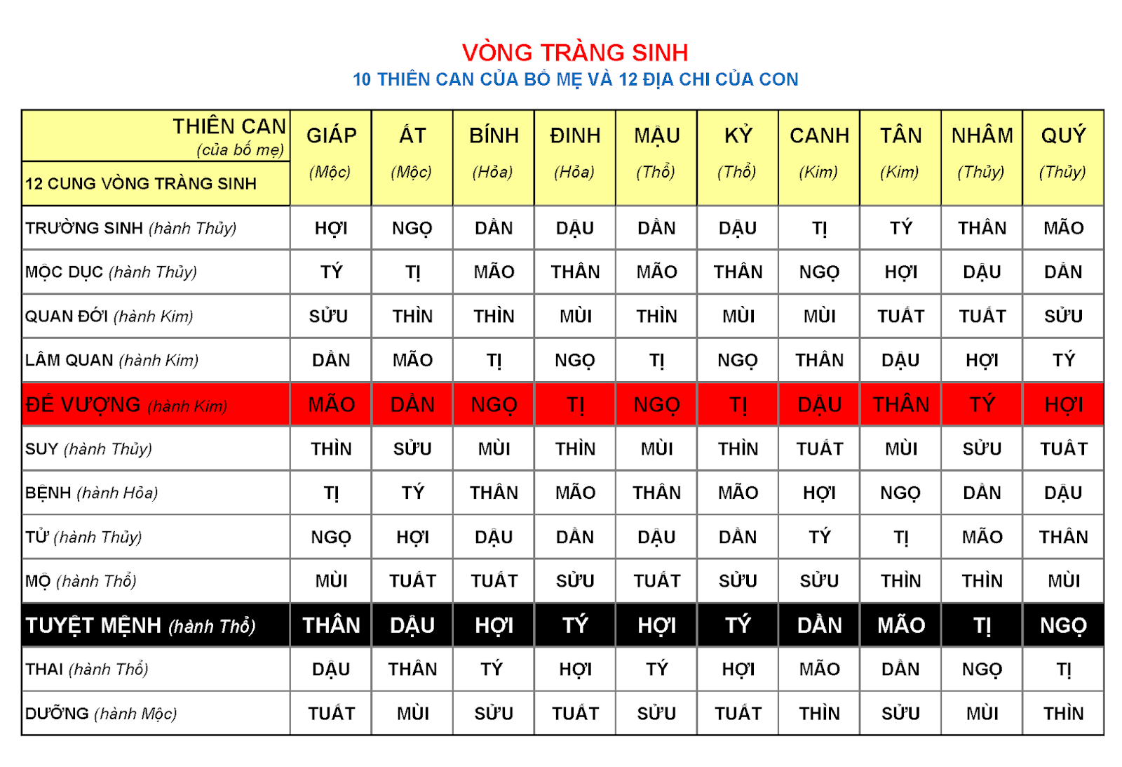 Mô hình đầu tư định lượng Cerbersi: Ứng dụng Vòng Tràng Sinh xem sinh con năm nào thì tốt