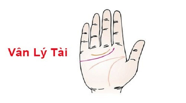 Đường vân Lý Tài sâu và dài