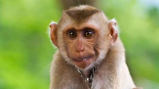 tac-dung-cua-cao-khi